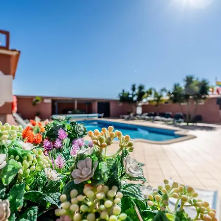 Paradis - Casa Completa Ferias Pera